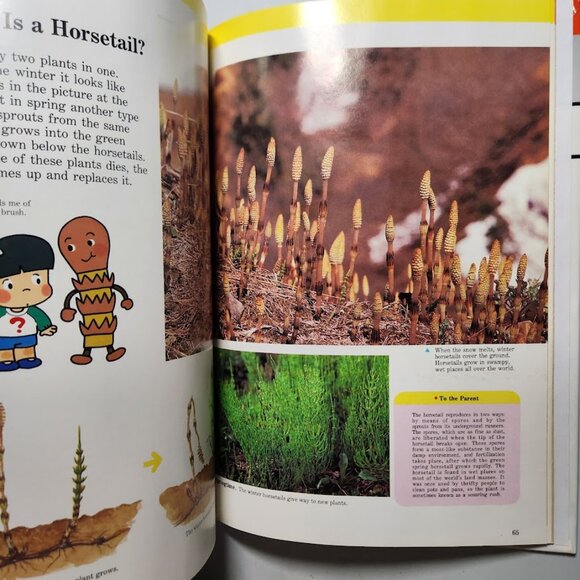 Flowers & Trees Child's First Library of Learning Hardcover Book Science Stem Ho - Picture 6 of 16
